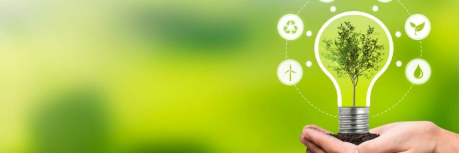 Empresa Líder en Energías Renovables y Gestión Ambiental